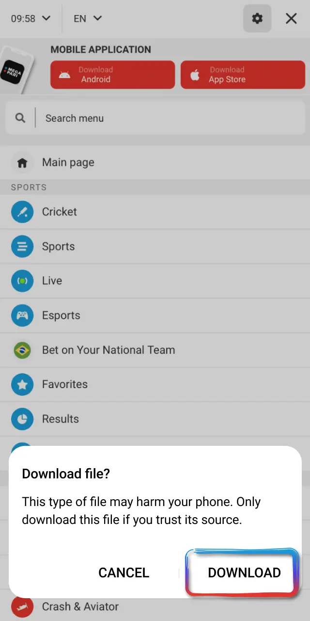 Confirm the on-screen prompt by tapping Allow or OK on MegaPari.