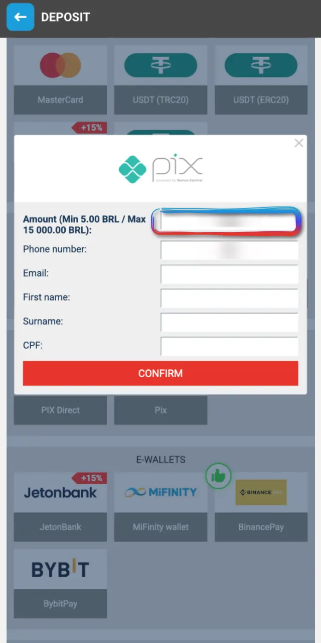Enter the requested details and confirm the transaction on MegaPari.