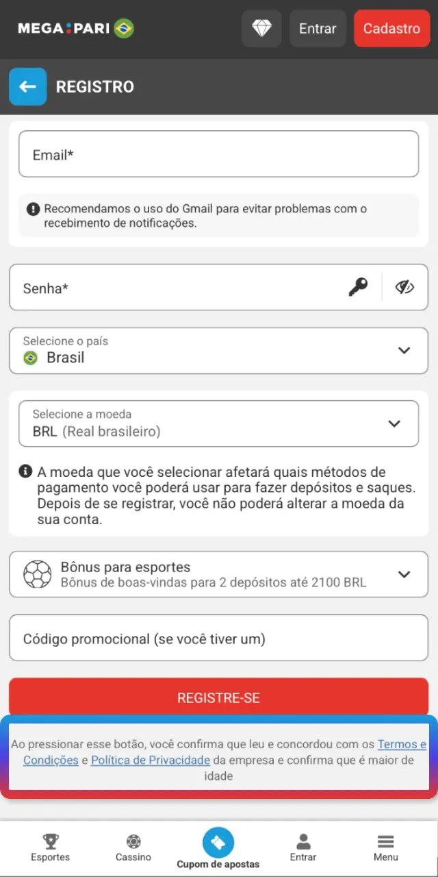 Marque que tem 18+ e aceite os termos e política de privacidade no MegaPari.