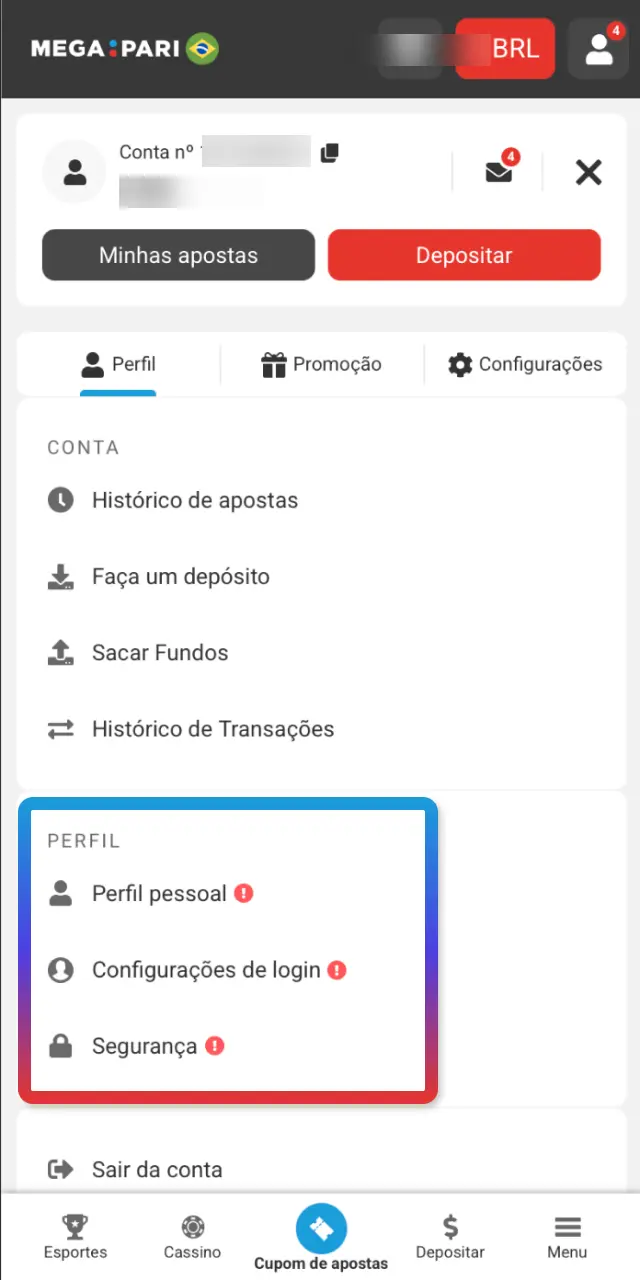 Confirme e-mail e telefone no perfil do MegaPari Brasil para iniciar a verificação.