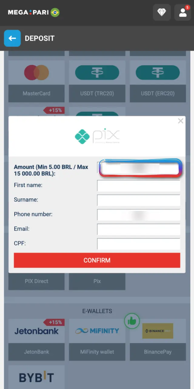 Enter the details requested by the card, wallet, bank, or crypto on MegaPari.